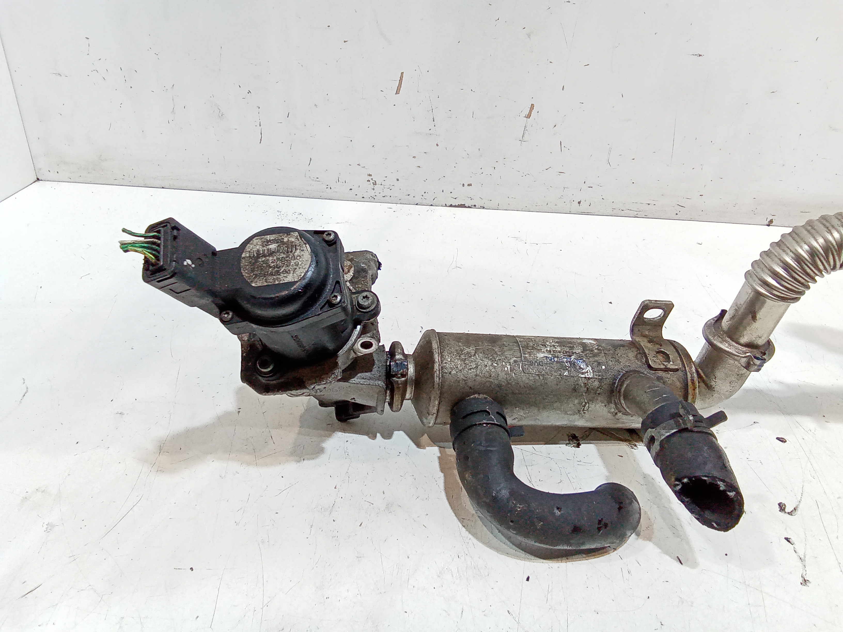 Scambiatore di calore per Ford Focus Berlina 3 Serie (2004 - 2008)