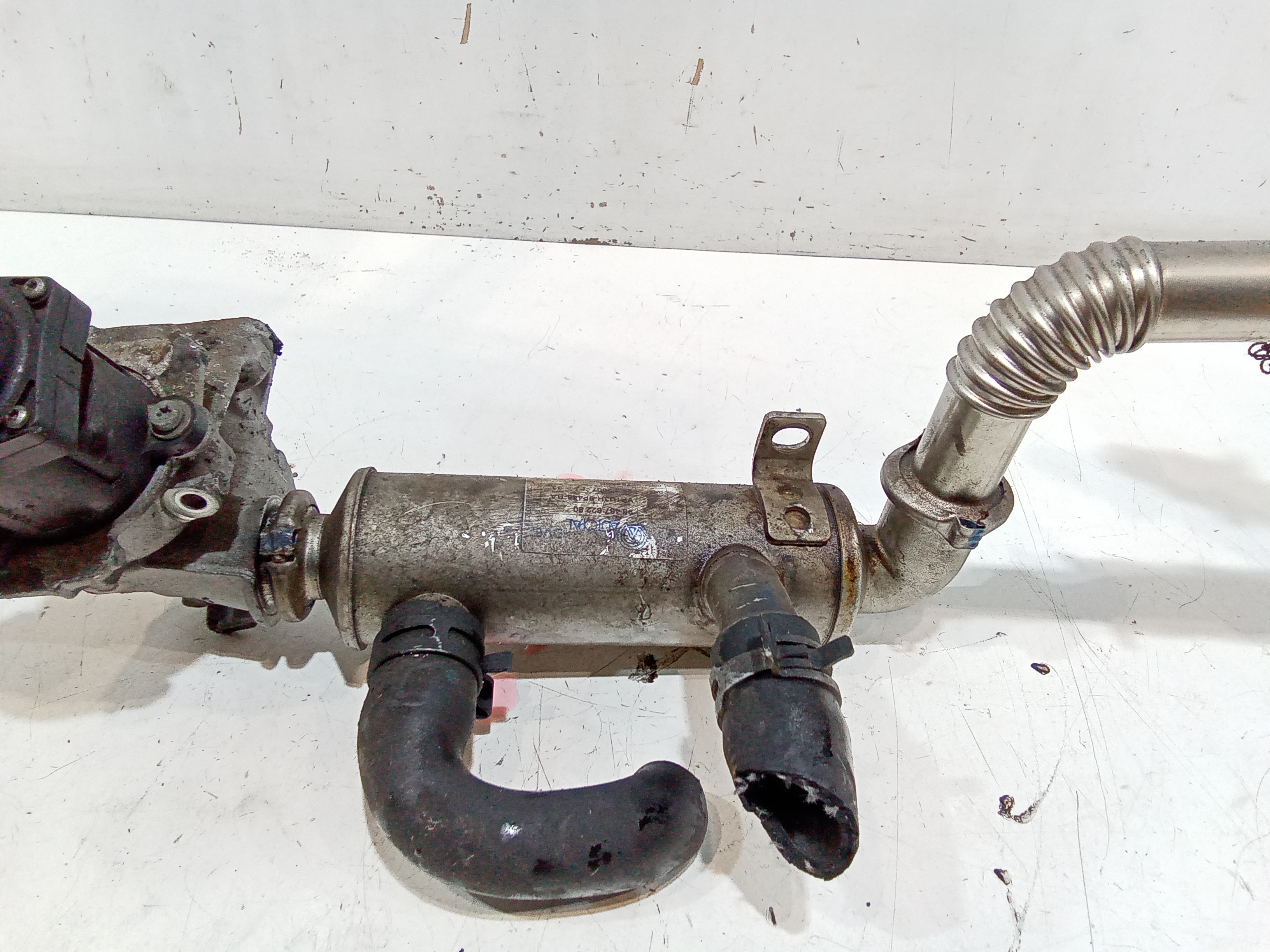 Scambiatore di calore per Ford Focus Berlina 3 Serie (2004 - 2008)