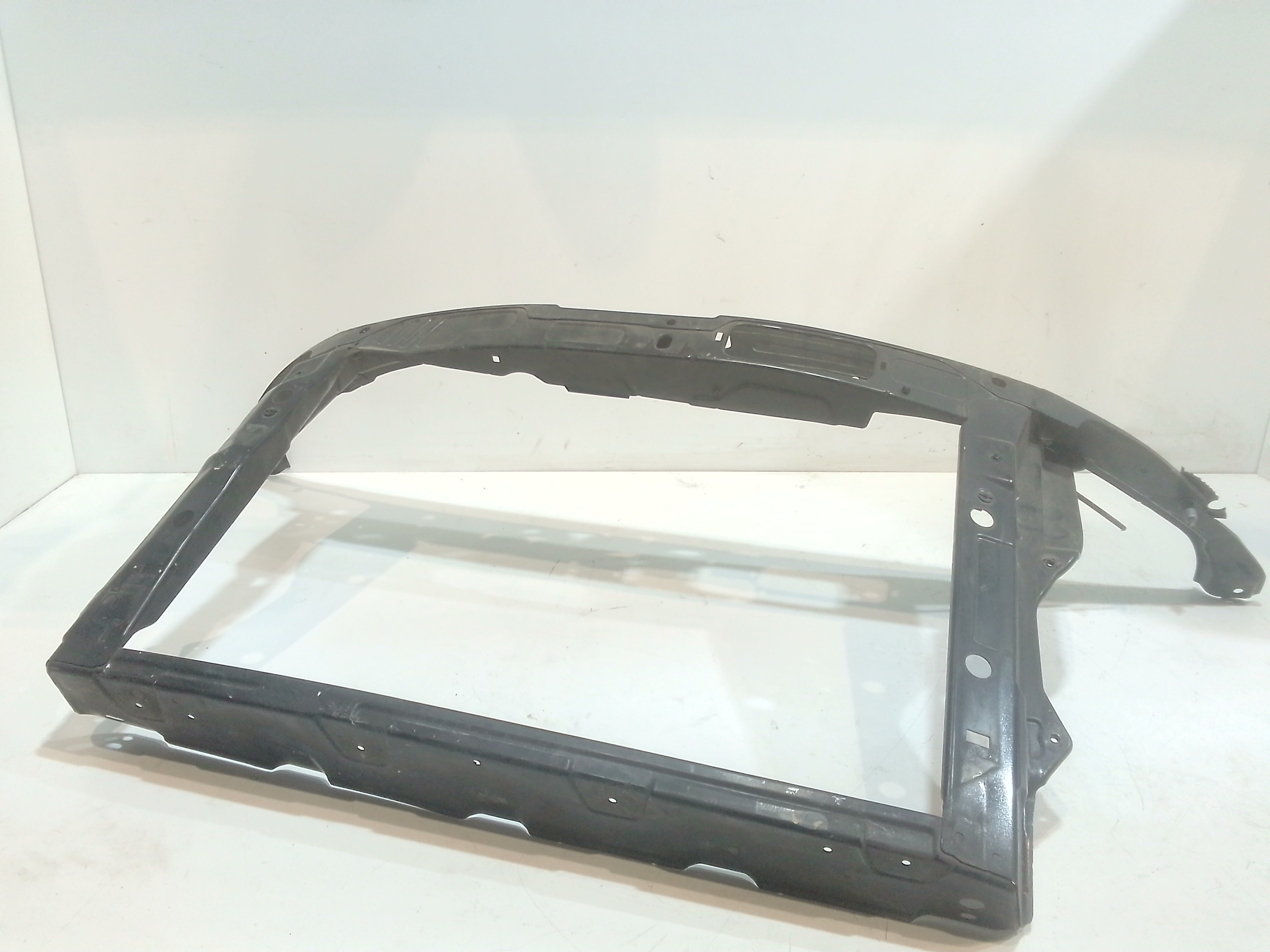 Calandra per Skoda Roomster 1 Serie (2006 - In produzione)