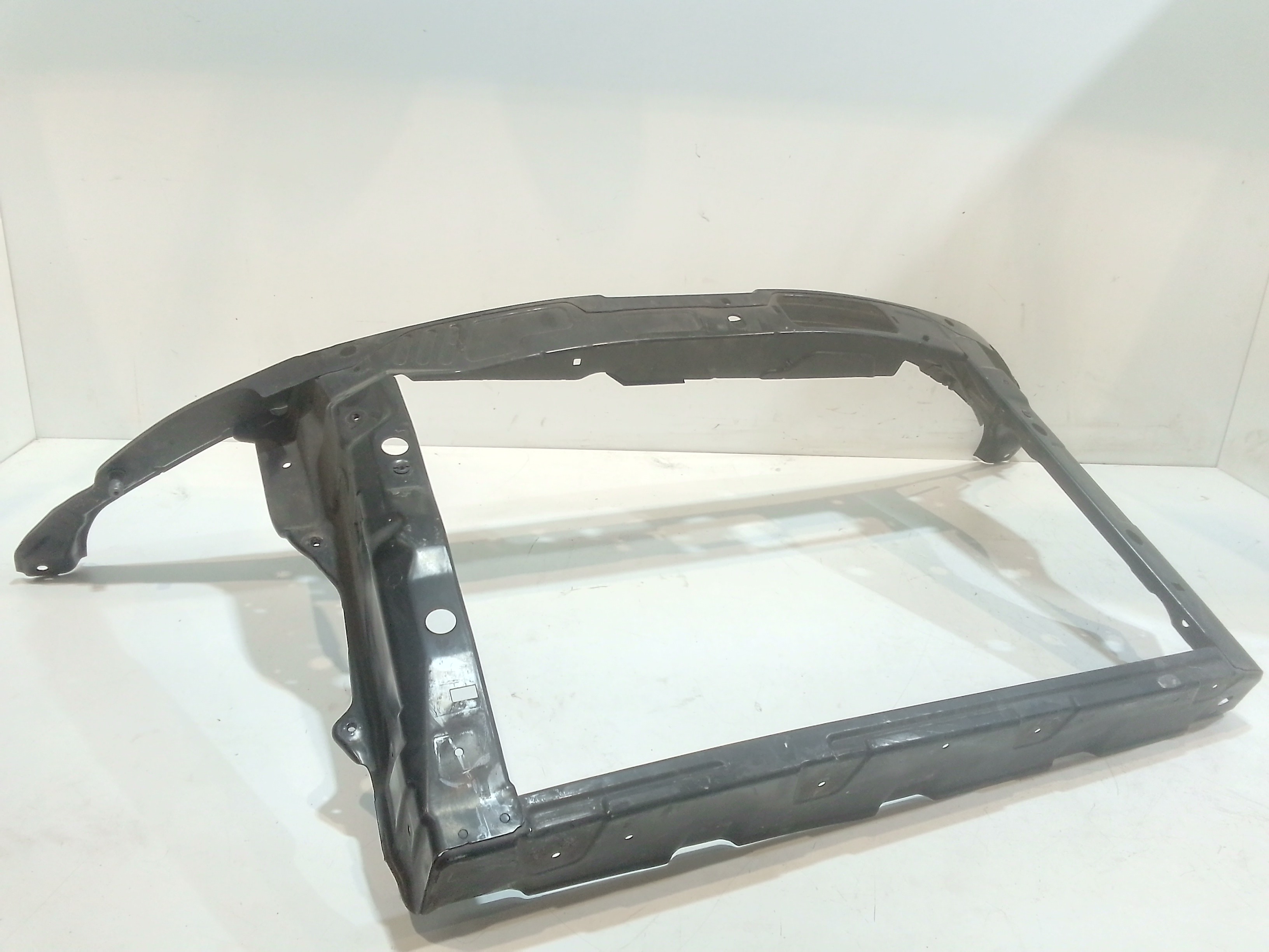 Calandra per Skoda Roomster 1 Serie (2006 - In produzione)