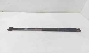 Pistoncini cofano Post. per Fiat Bravo 2 Serie (2007 - 2010)