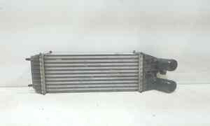 Intercooler per Opel Crossland Serie (x) (17>) (2017 - In produzione)