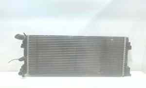 Radiatore acqua per Skoda Fabia Berlina 2 Serie (2007 - 2014)