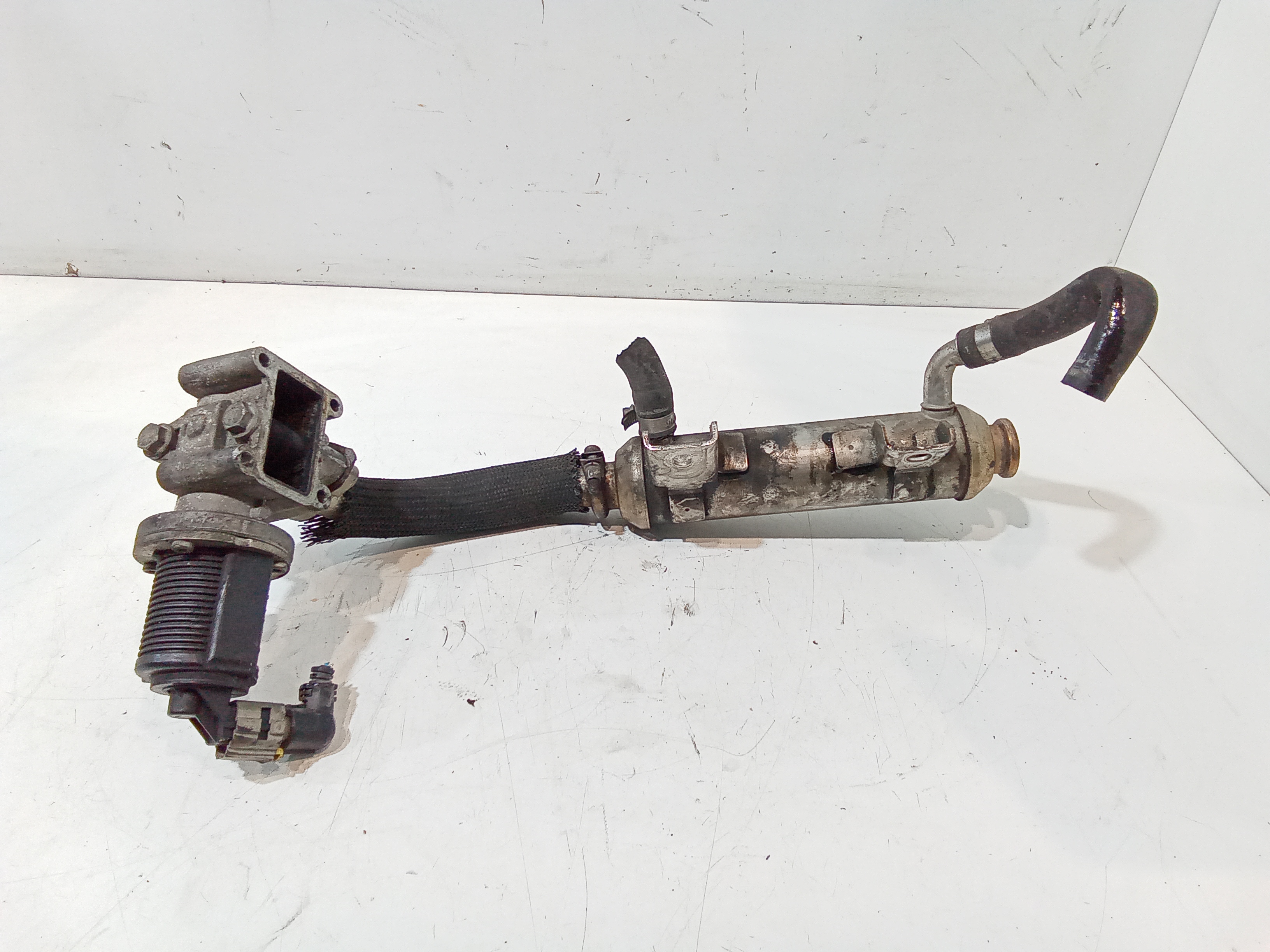 Scambiatore Egr per Alfa Romeo 159 Berlina Serie (939_) (05>11) (2005 - 2011)