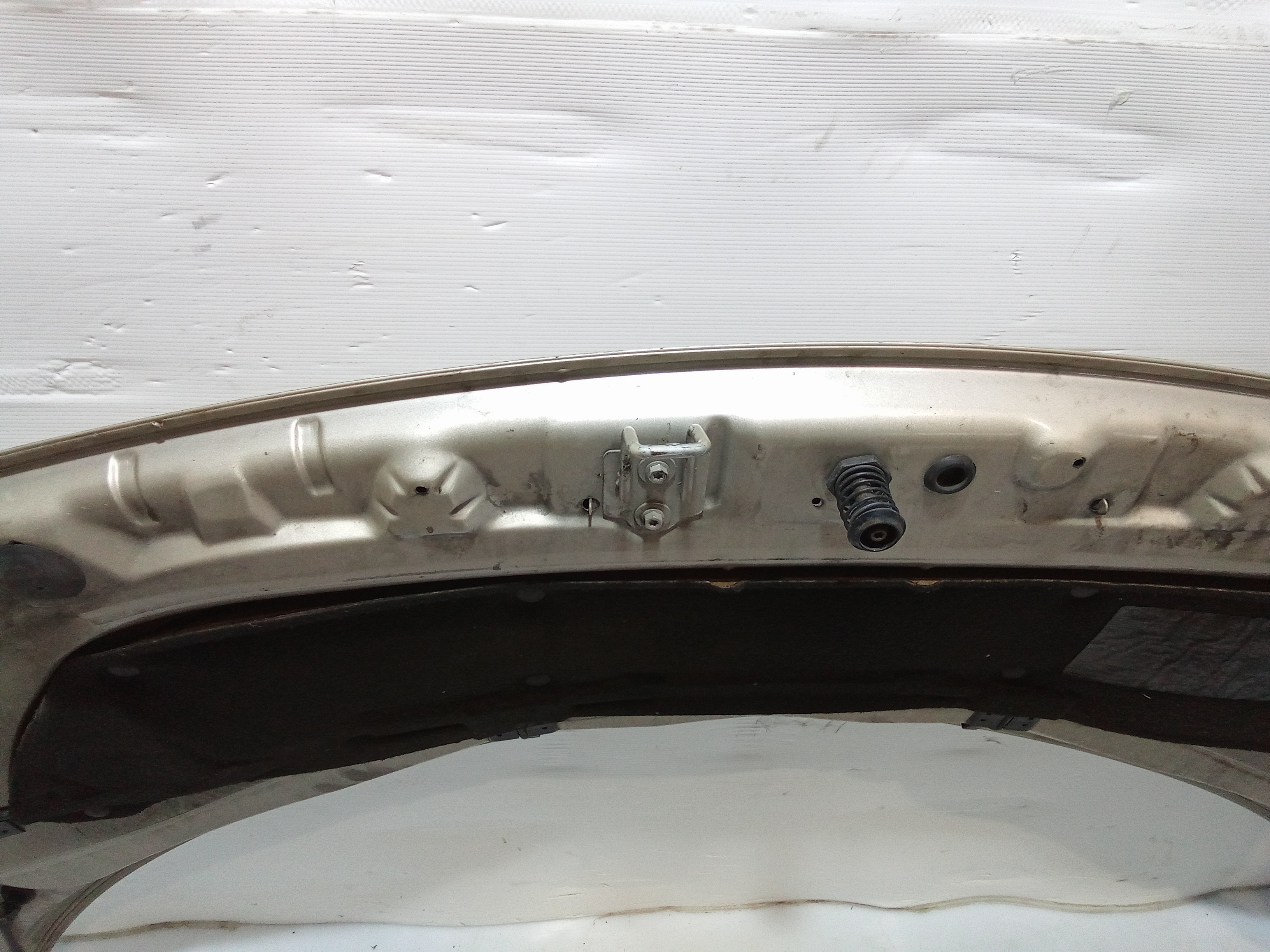 Cofano Anteriore per Renault Scenic Serie (03>09) (2003 - 2009)