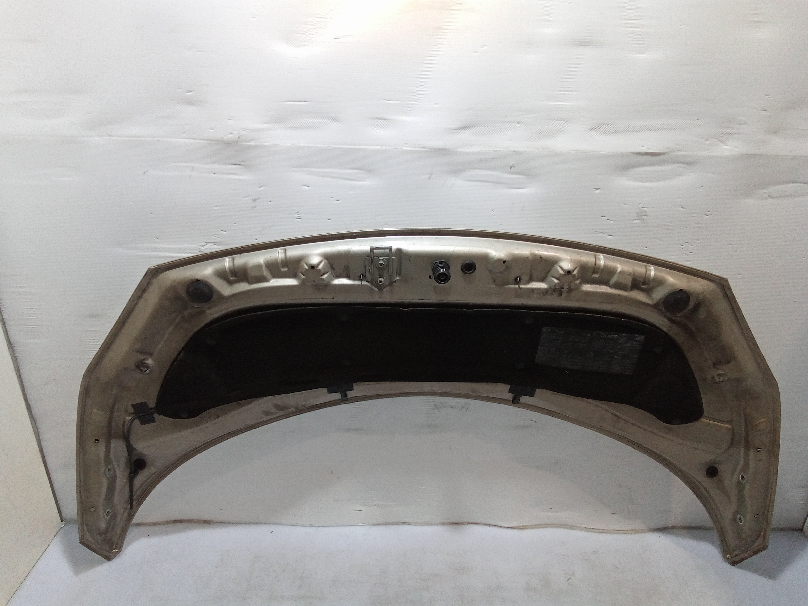 Cofano Anteriore per Renault Scenic Serie (03>09) (2003 - 2009)