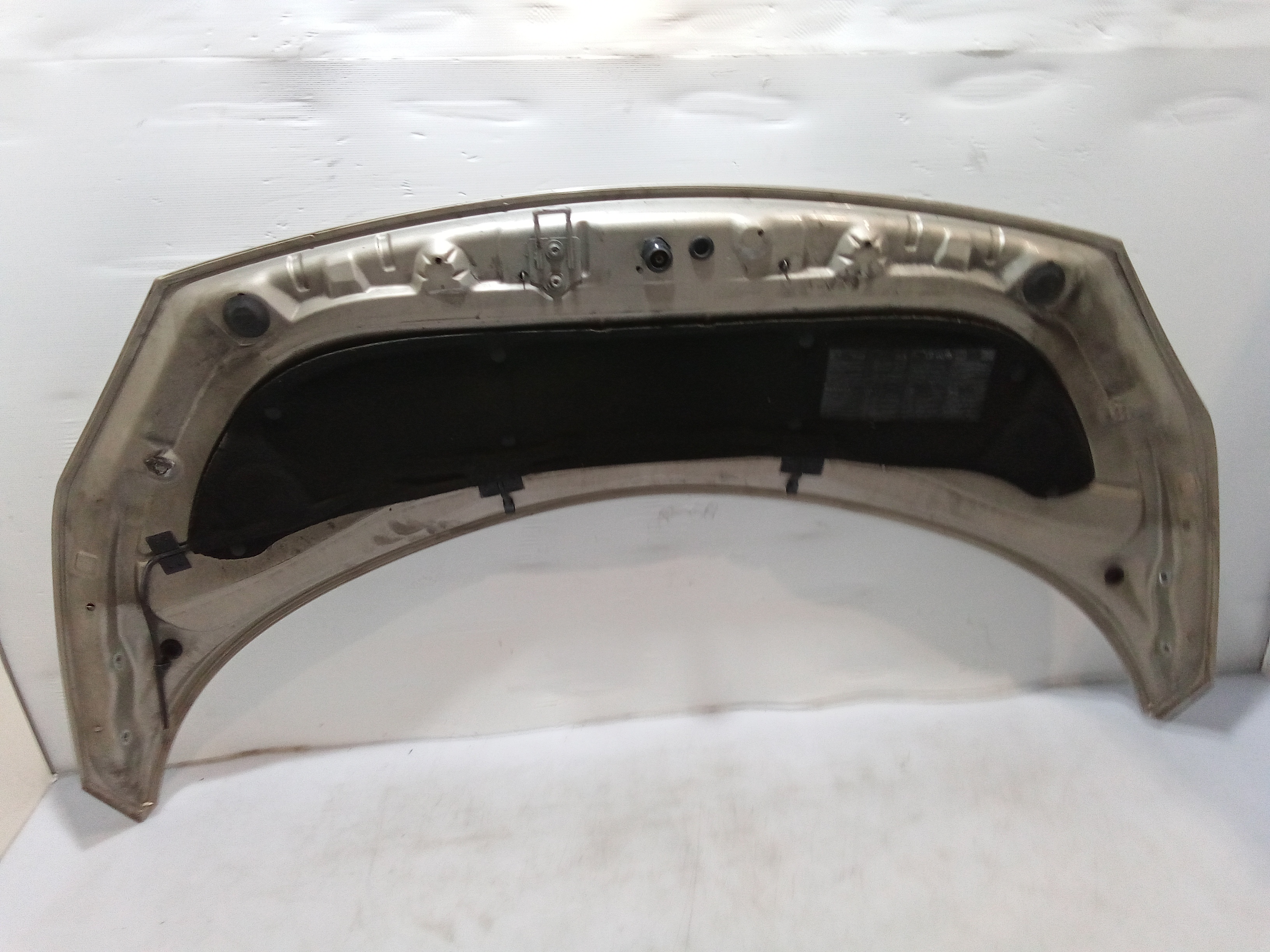 Cofano Anteriore per Renault Scenic Serie (03>09) (2003 - 2009)