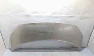 Cofano Anteriore per Renault Scenic Serie (03>09) (2003 - 2009)