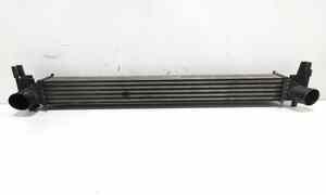 Intercooler per Seat Ibiza Serie (05>08) (2005 - 2008)