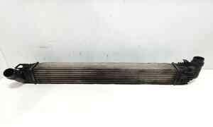 Intercooler per Dacia Duster 1 Serie (2010 - In produzione)