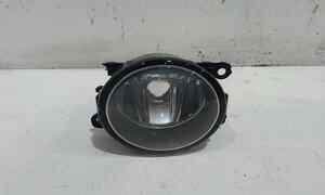 Fendinebbia anteriore SX per Dacia Duster 1 Serie (2010 - In produzione)