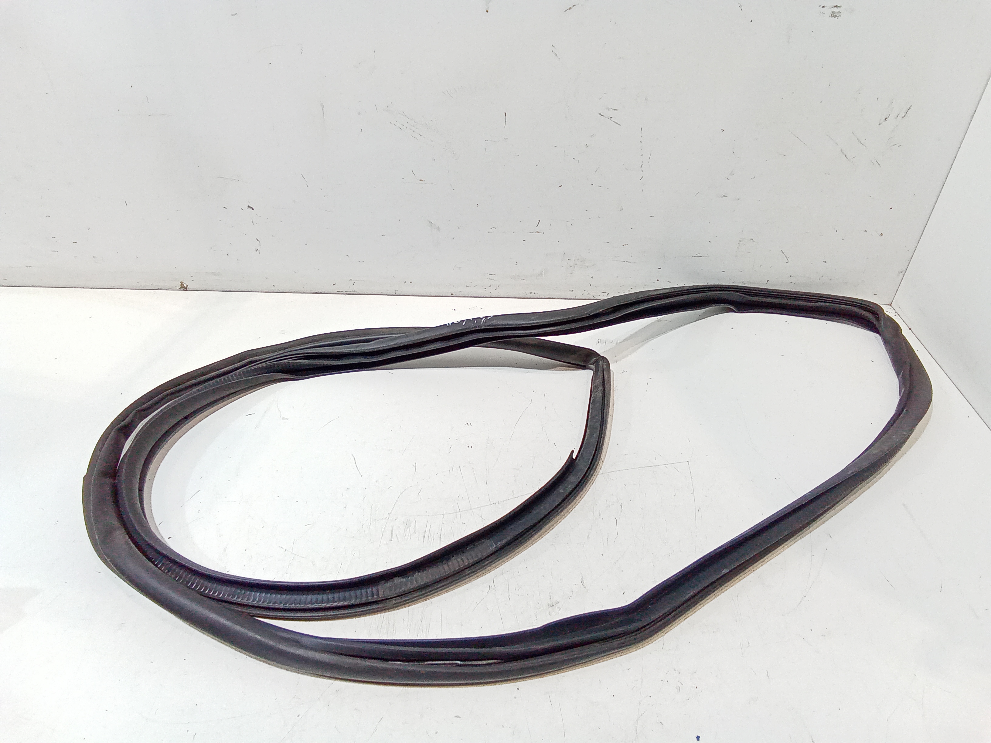 Guarnizioni portiere per Toyota C-hr Ibrida (16>) (2016 - In produzione)