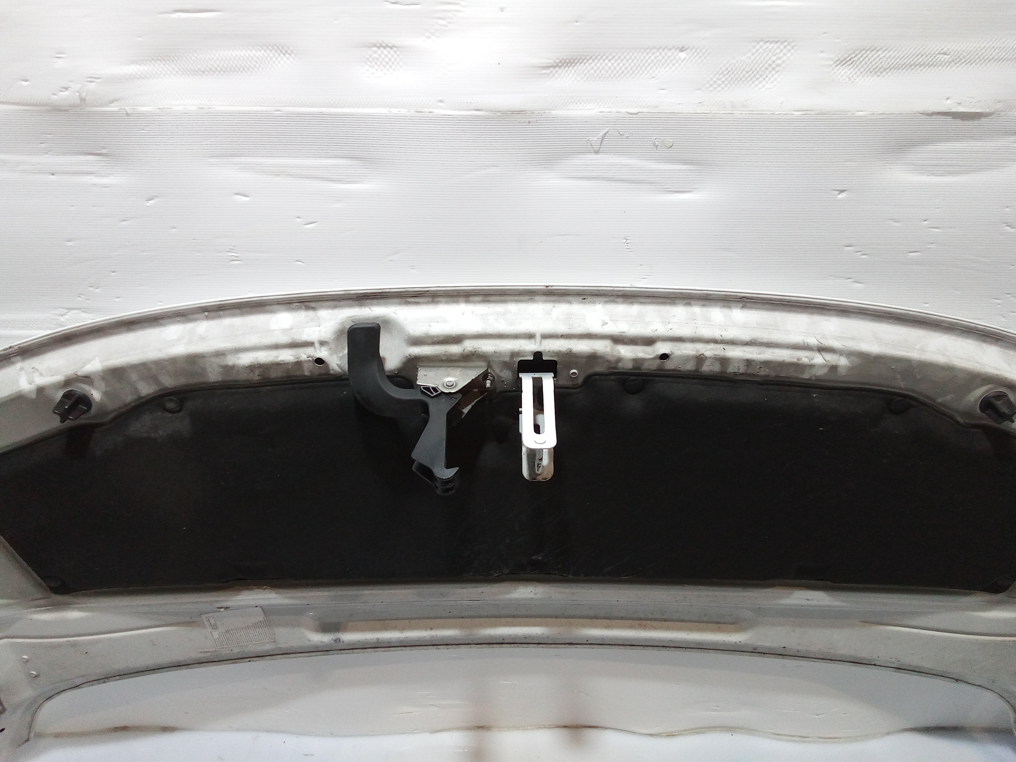 Cofano Anteriore per Citroen Berlingo (2017 - )