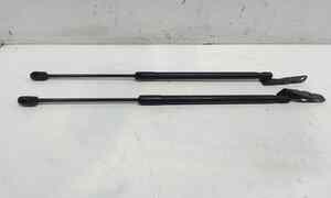 Pistoncini cofano Post. per Fiat Sedici 1 Serie (2006 - 2009)