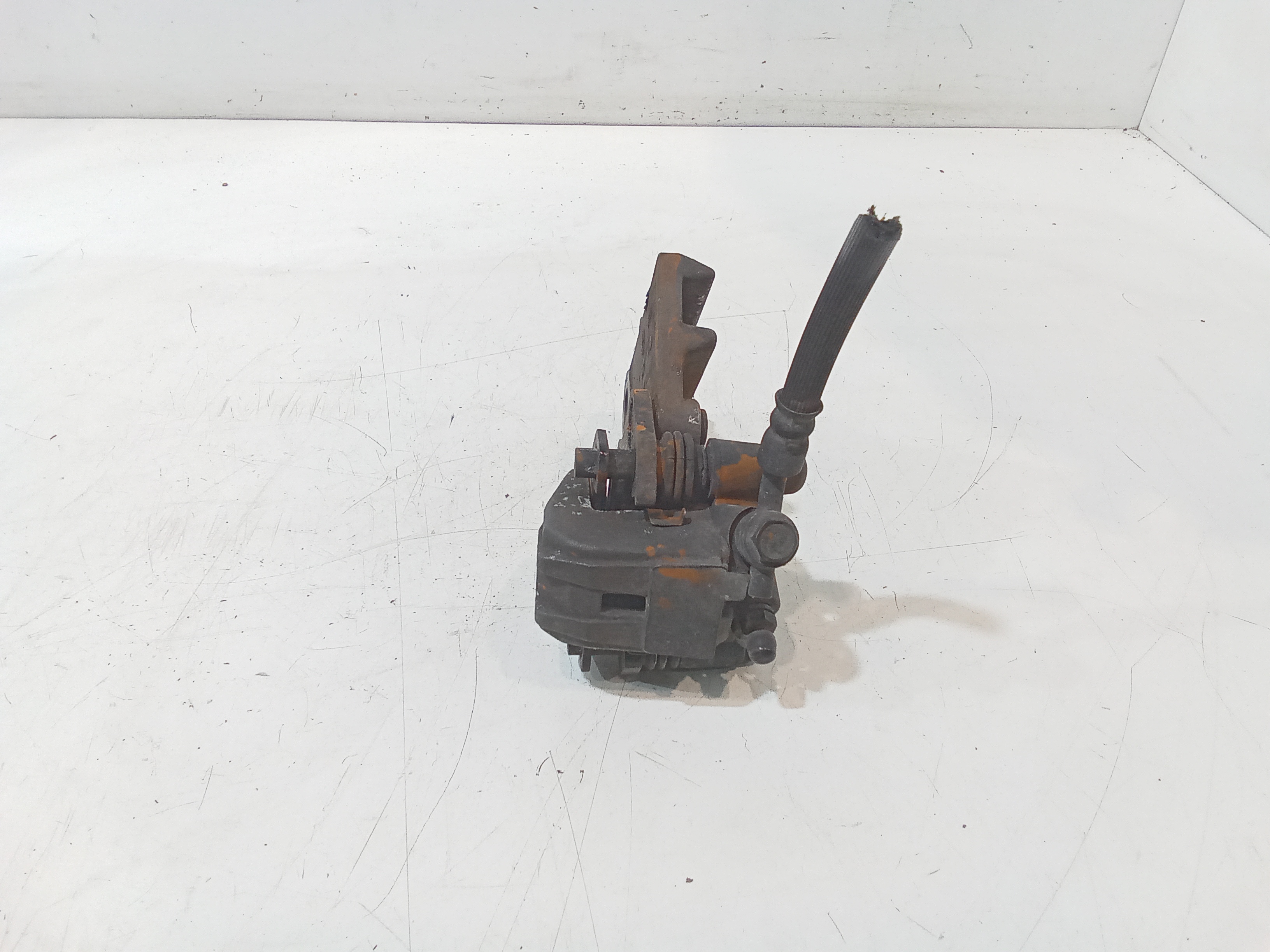 Pinza freno posteriore per Kawasaki Kle 500cc (91>00) (1991 - 2000)