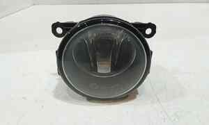 Fendinebbia anteriore SX per Renault Scenic Serie (03>09) (2003 - 2009)