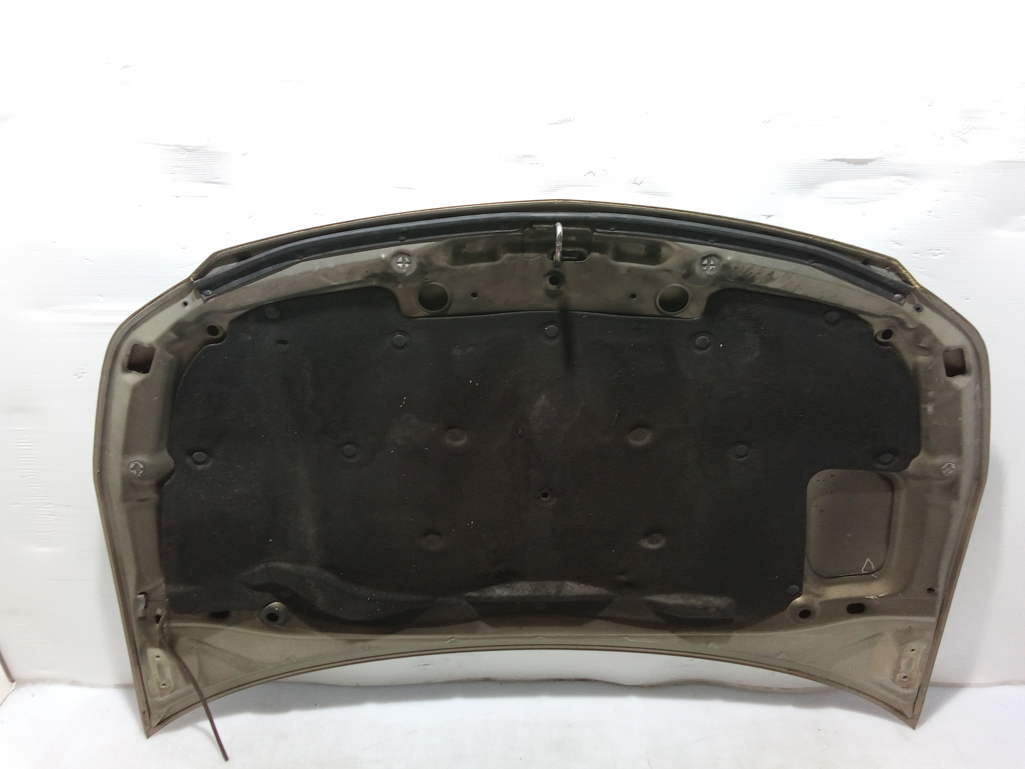 Cofano Anteriore per Fiat Sedici 1 Serie (2006 - 2009)