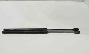 Pistoncini cofano Post. per Fiat Sedici 2 Serie (2009 - In produzione)