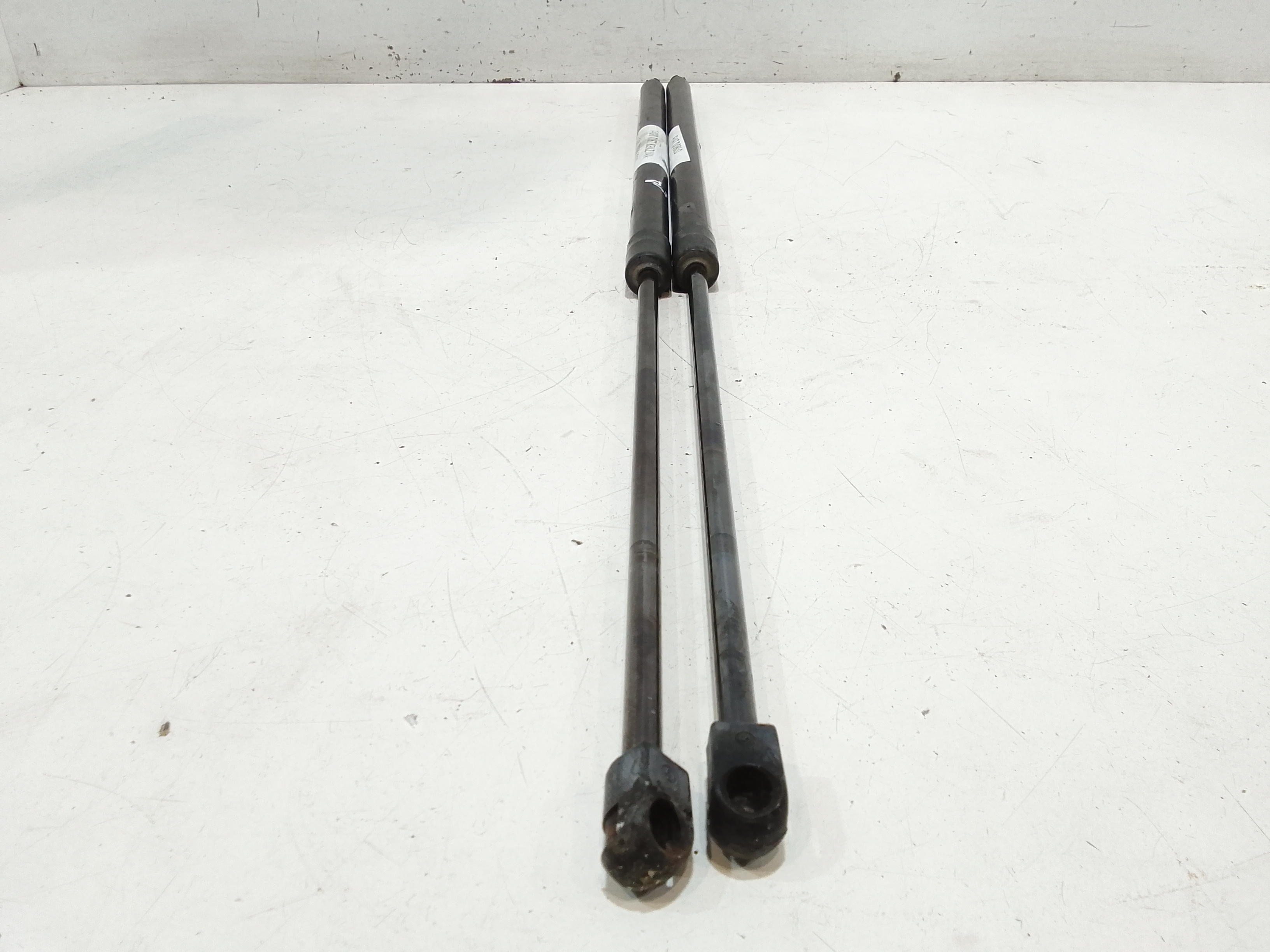 Pistoncini cofano Post. per Fiat Dobl Serie (09>) (2009 - In produzione)