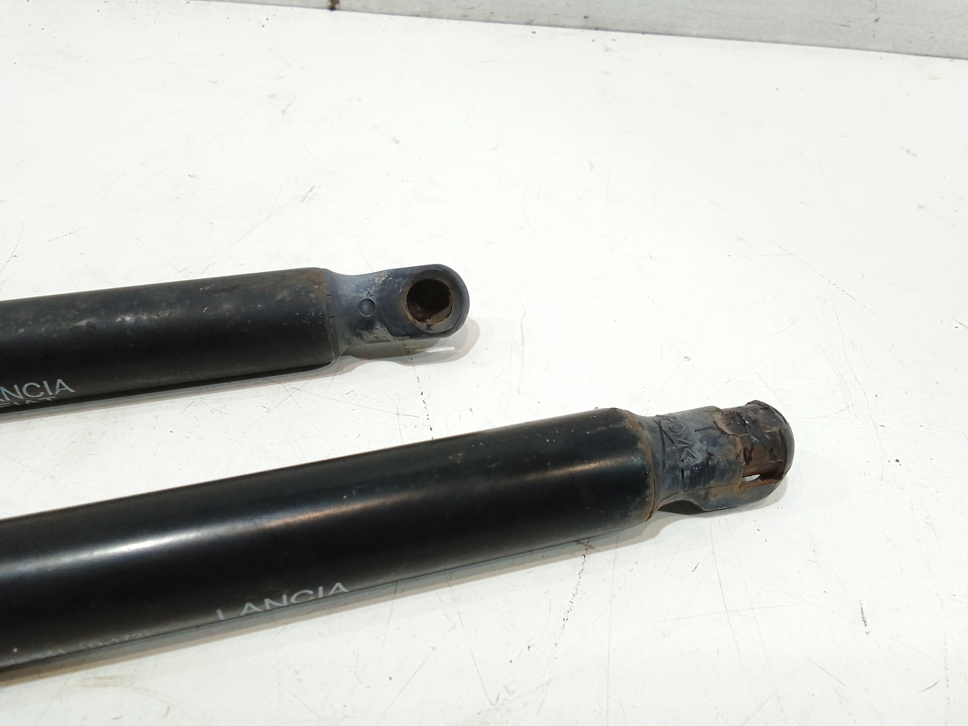 Pistoncini cofano Post. per Fiat Dobl Serie (09>) (2009 - In produzione)