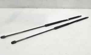 Pistoncini cofano Post. per Fiat Dobl Serie (09>) (2009 - In produzione)