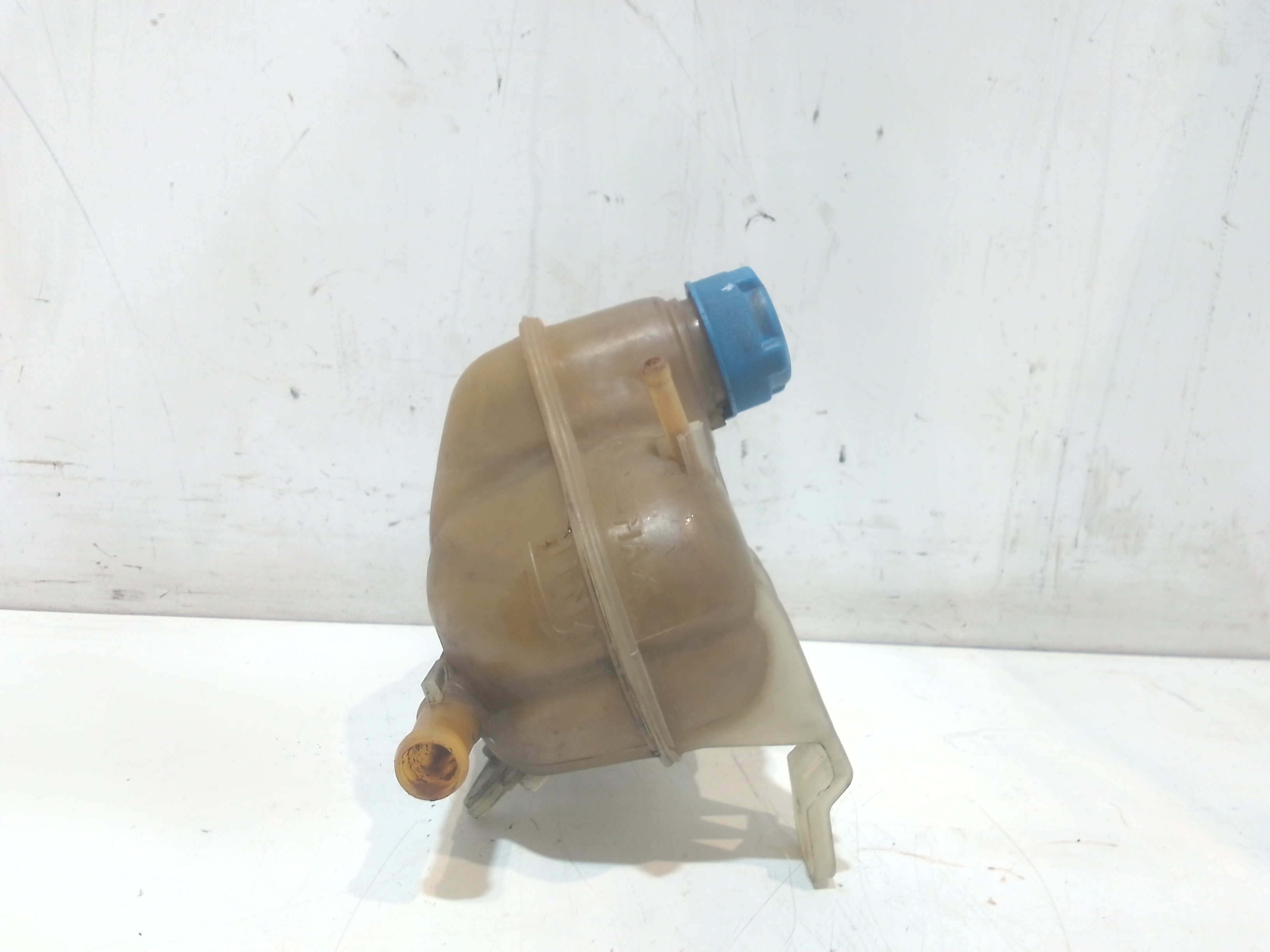 Vaschetta liquido radiatore per Fiat Punto Evo (2009 - 2012)