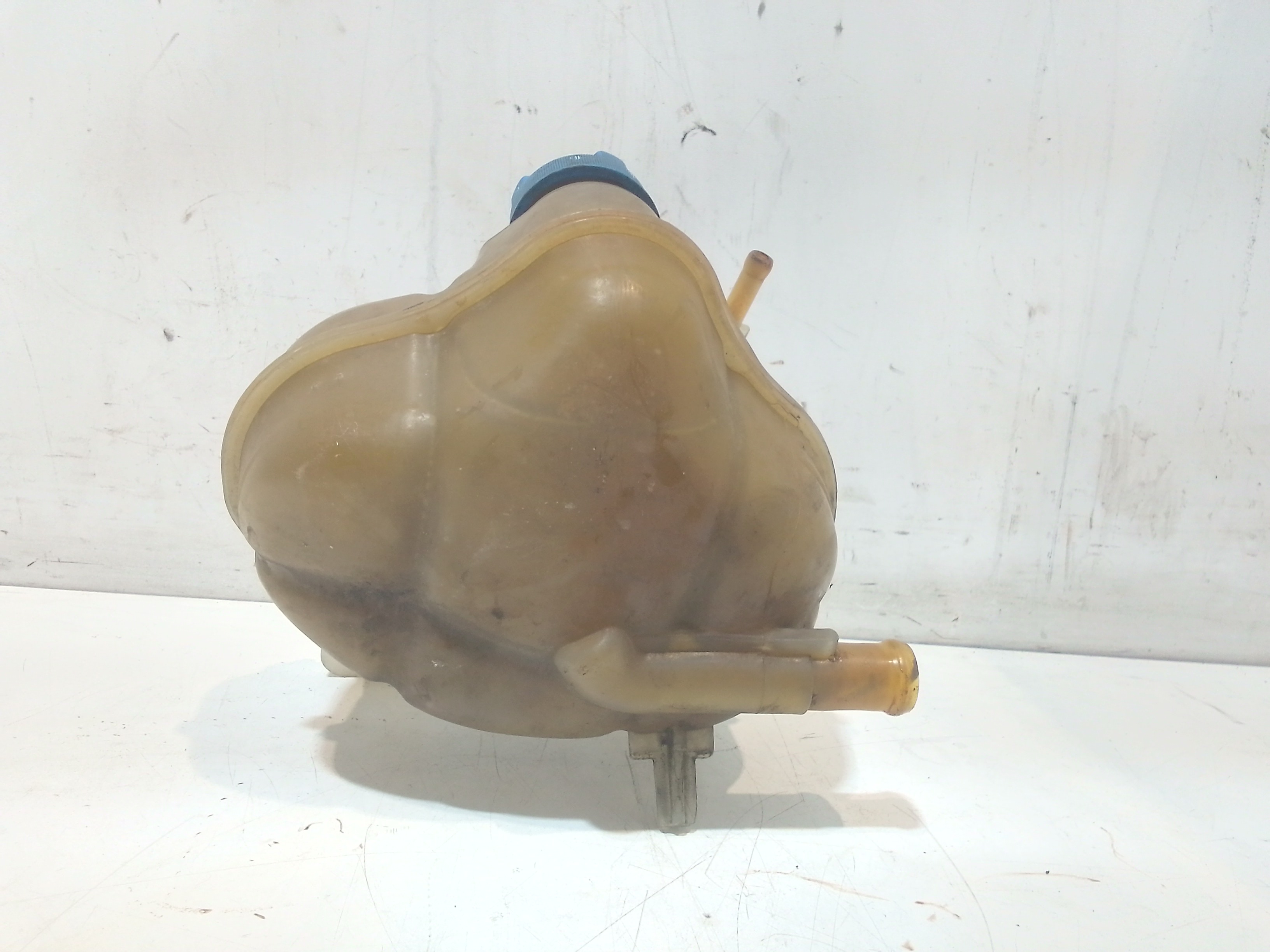 Vaschetta liquido radiatore per Fiat Punto Evo (2009 - 2012)