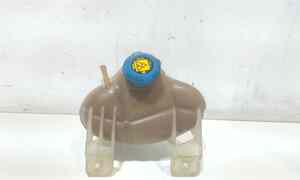 Vaschetta liquido radiatore per Fiat Punto Evo (2009 - 2012)