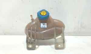 Vaschetta liquido radiatore per Fiat Grande Punto 2 Serie (2008 - 2009)