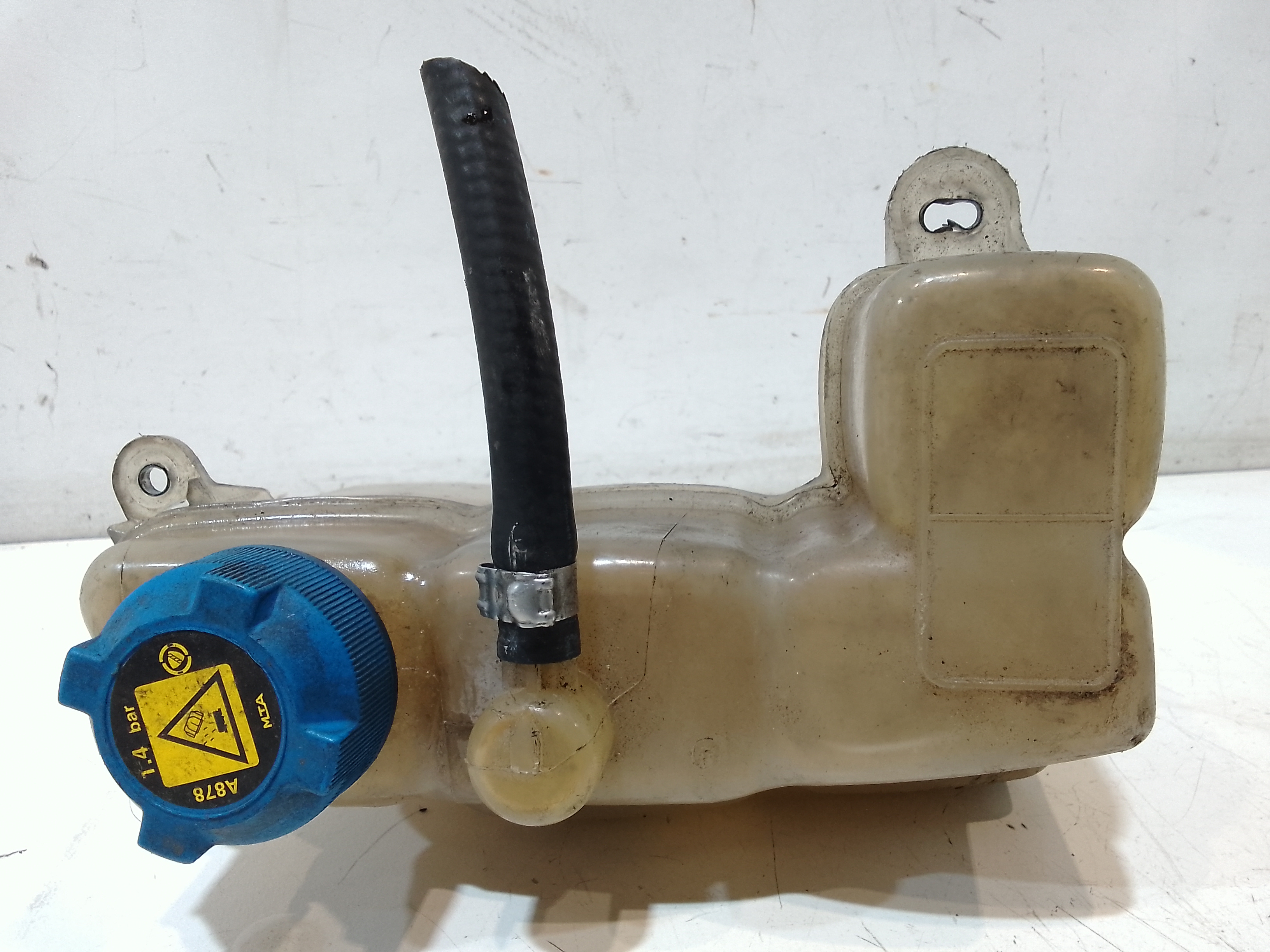 Vaschetta liquido radiatore per Lancia Musa 2 Serie (2007 - In produzione)