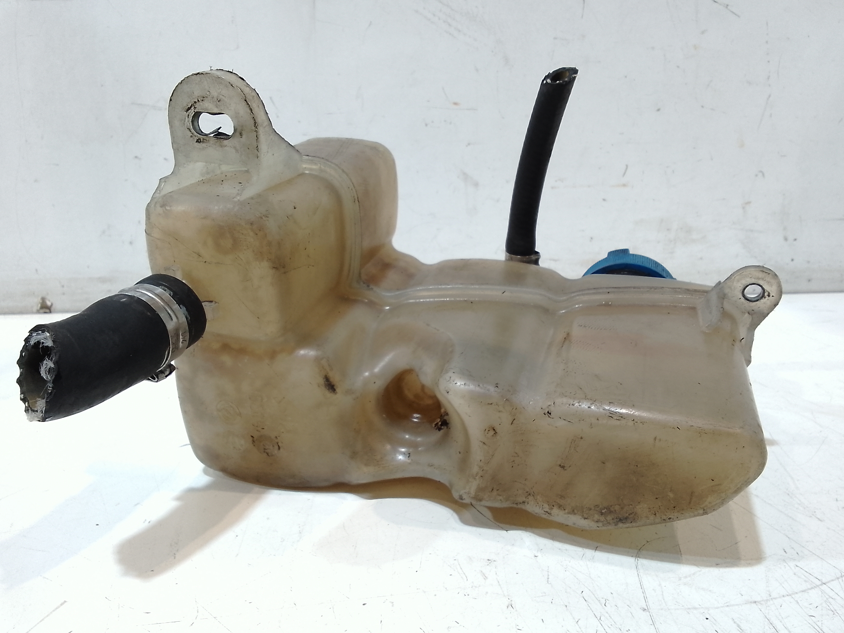 Vaschetta liquido radiatore per Lancia Musa 2 Serie (2007 - In produzione)