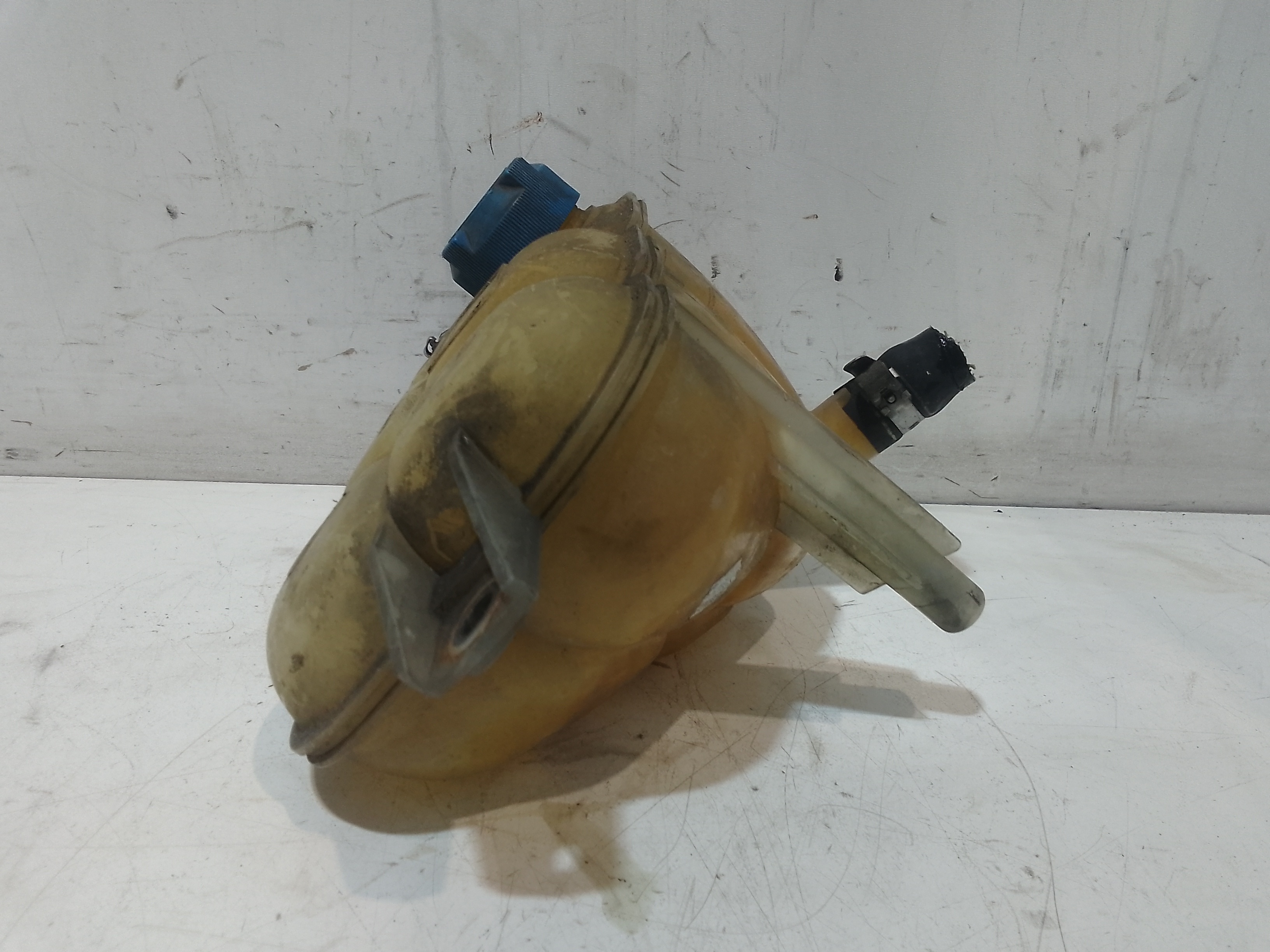 Vaschetta liquido radiatore per Fiat Seicento / 600 (05>10) (2005 - 2010)