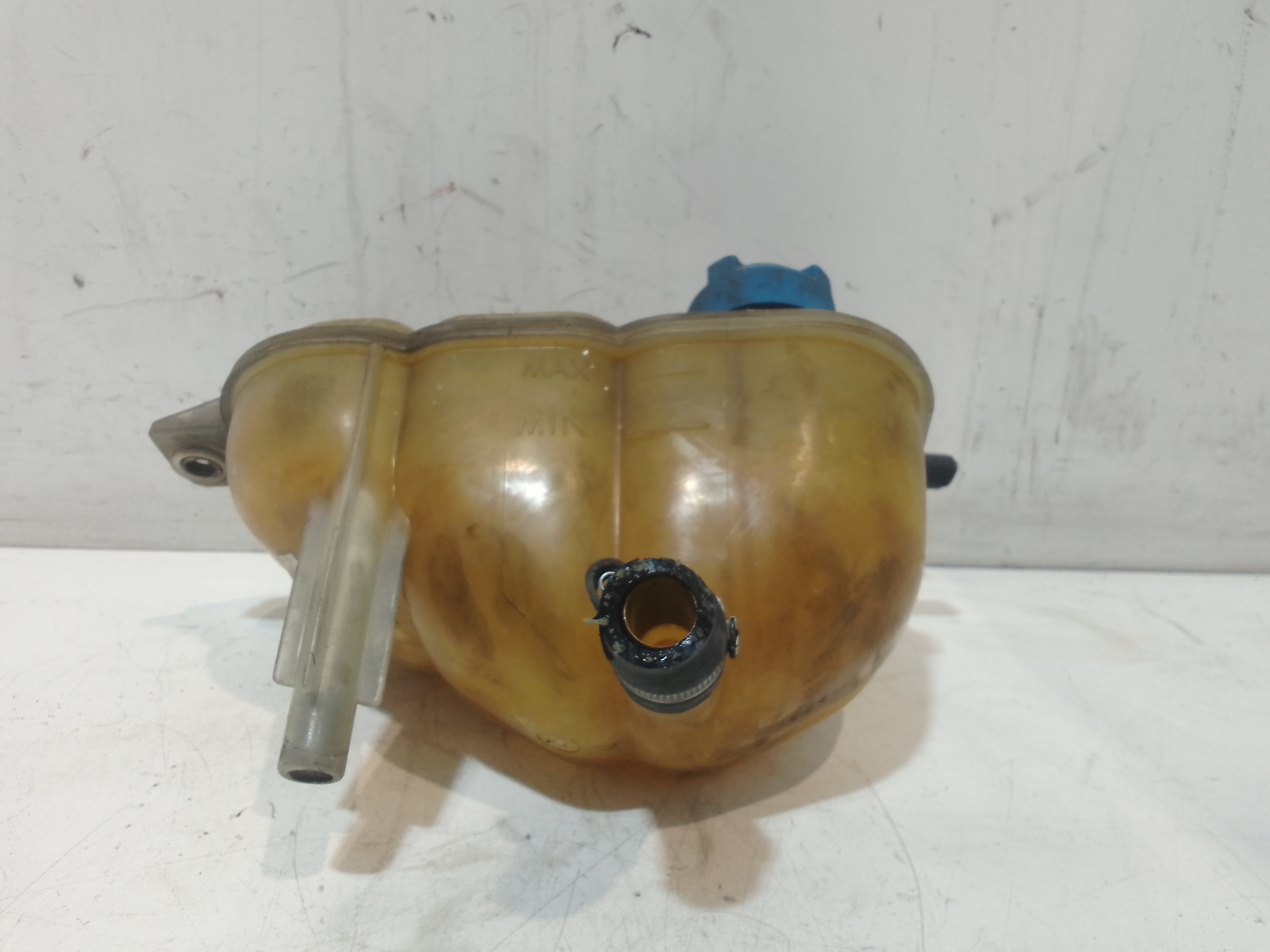 Vaschetta liquido radiatore per Fiat Seicento / 600 (05>10) (2005 - 2010)