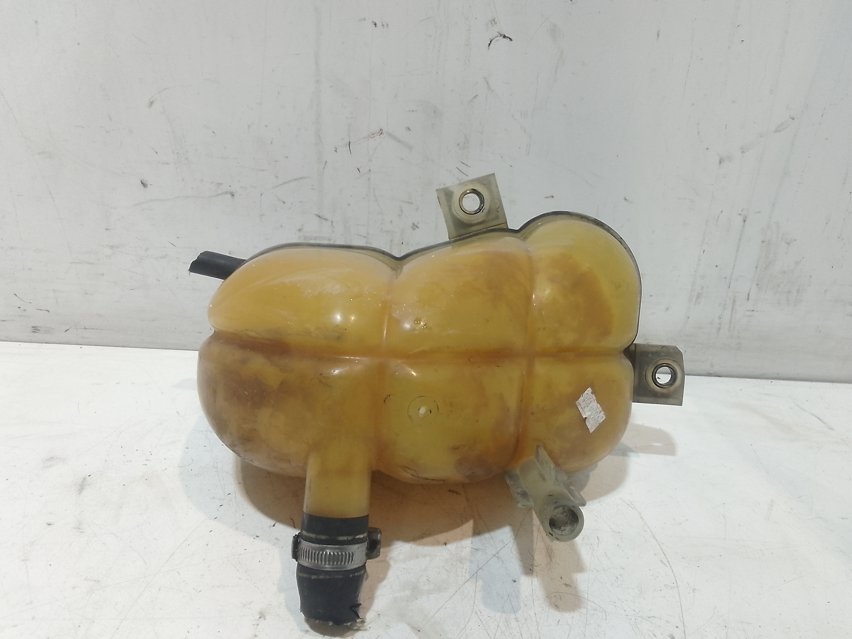 Vaschetta liquido radiatore per Fiat Seicento / 600 (05>10) (2005 - 2010)