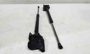 Pistoncini cofano Post. per Smart Fortwo Brabus (2017 - In produzione)