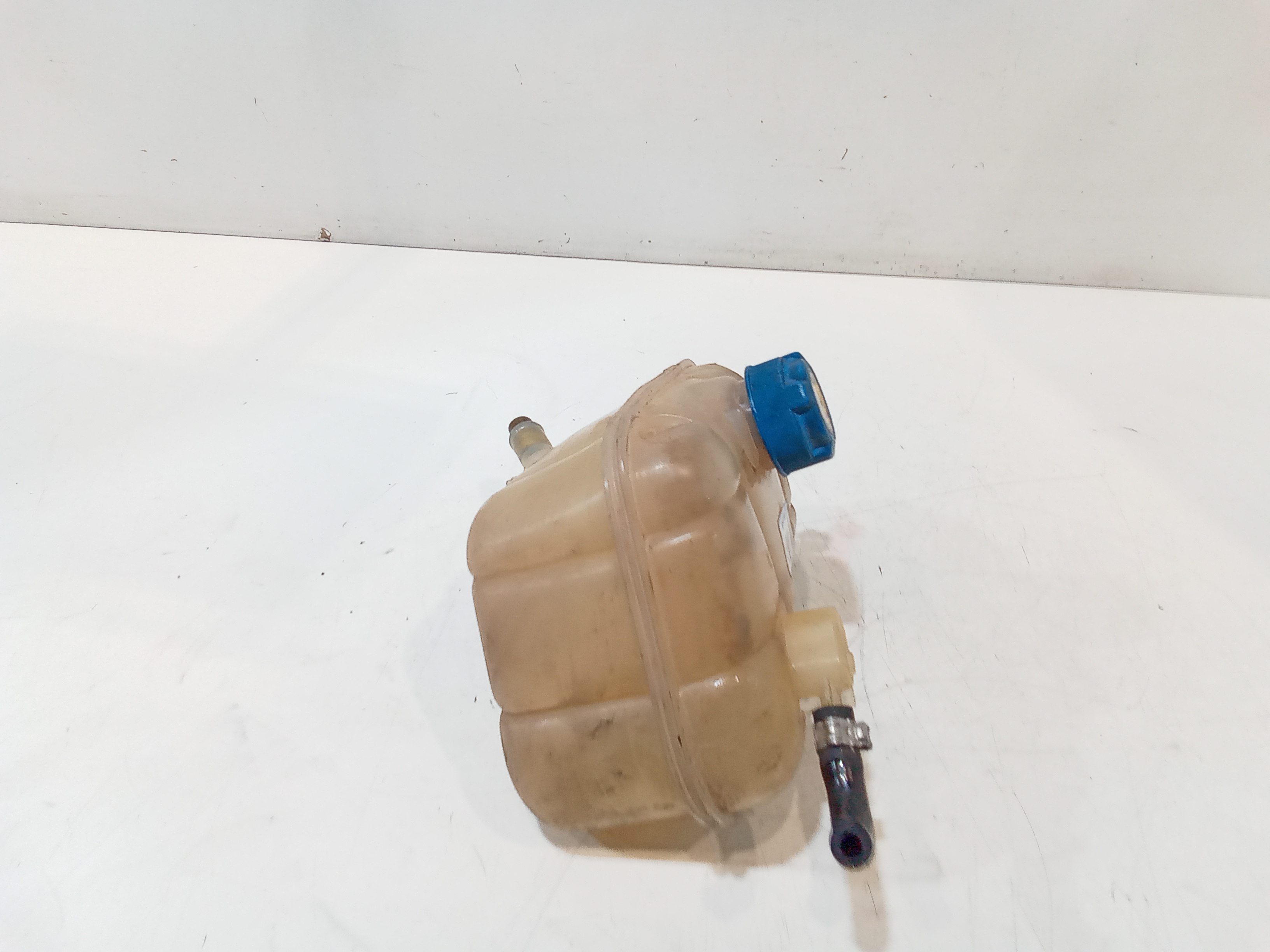 Vaschetta liquido radiatore per Fiat Bravo 2 Serie (2007 - 2010)