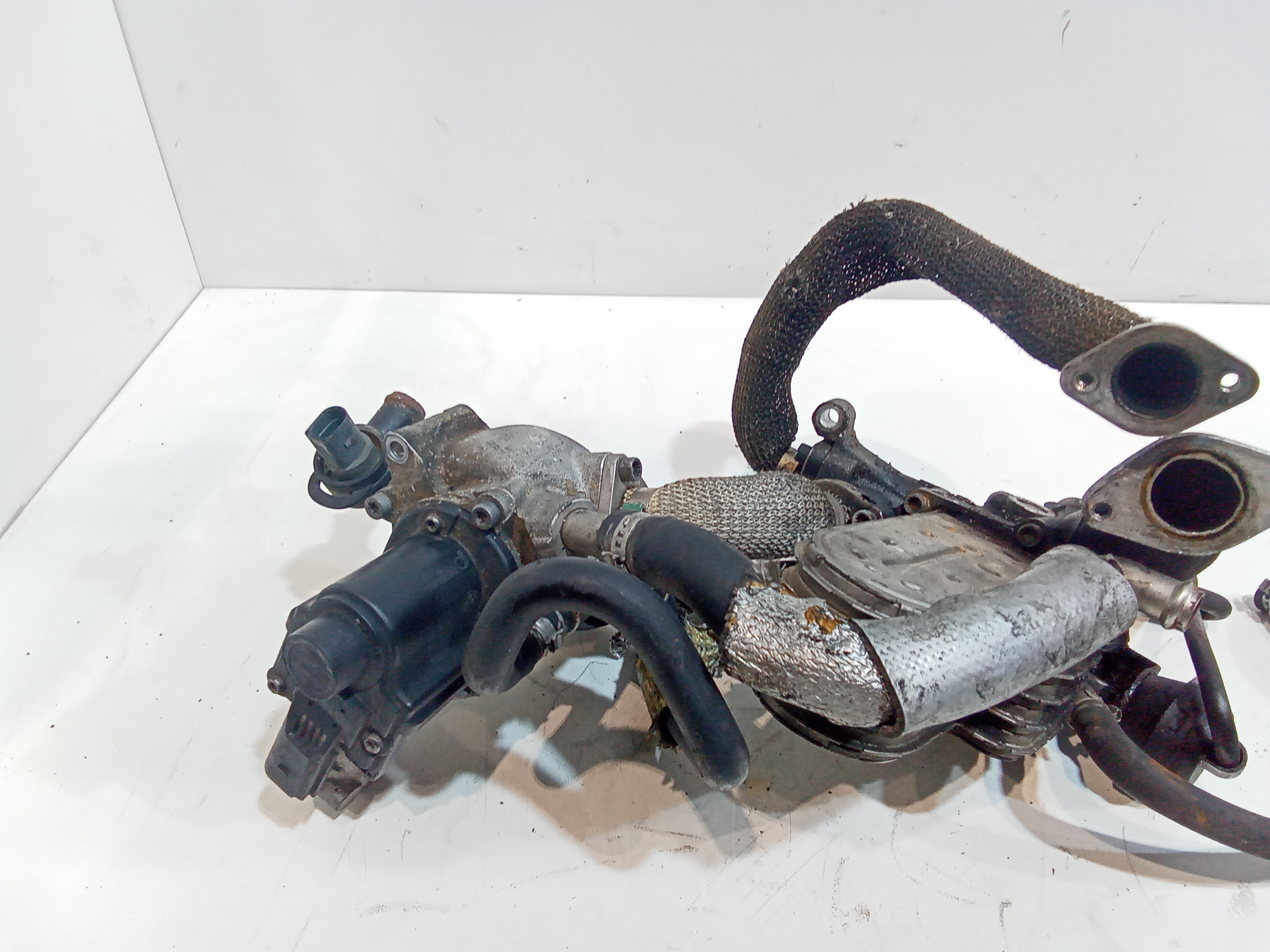 Scambiatore Egr per Audi Q7 Serie (4lb) (05>15) (2005 - 2015)