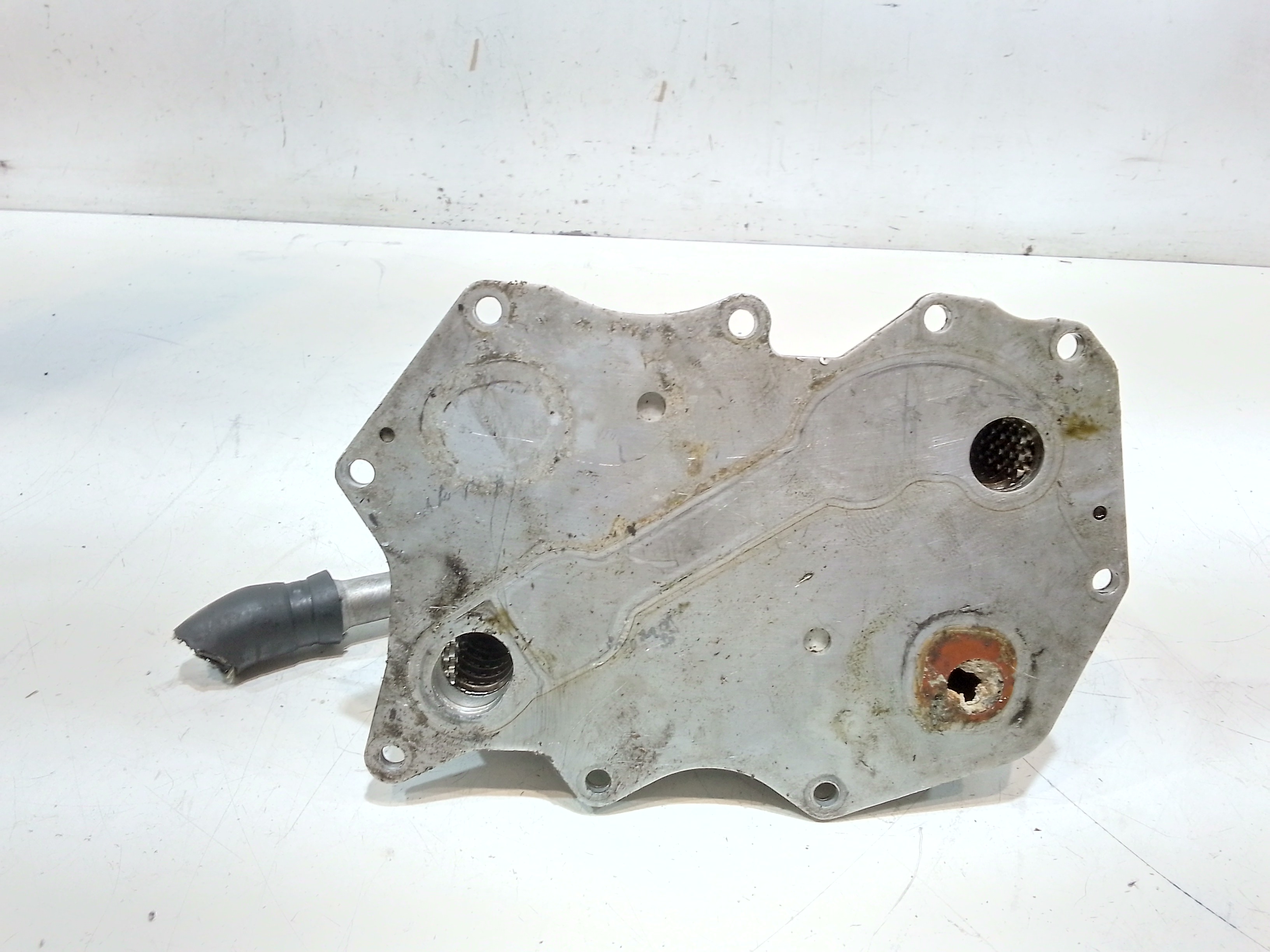 Radiatore olio per Audi Q7 Serie (4lb) (05>15) (2005 - 2015)