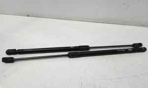 Pistoncini cofano Post. per Hyundai I20 1 Serie (2008 - 2014)