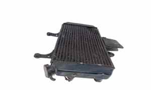 Radiatore acqua per Suzuki V-Strom 650cc DL (2004 - 2006)