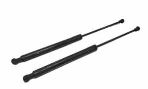 Pistoncini cofano Post. per Citroen C3 Serie (2009 - 2015)