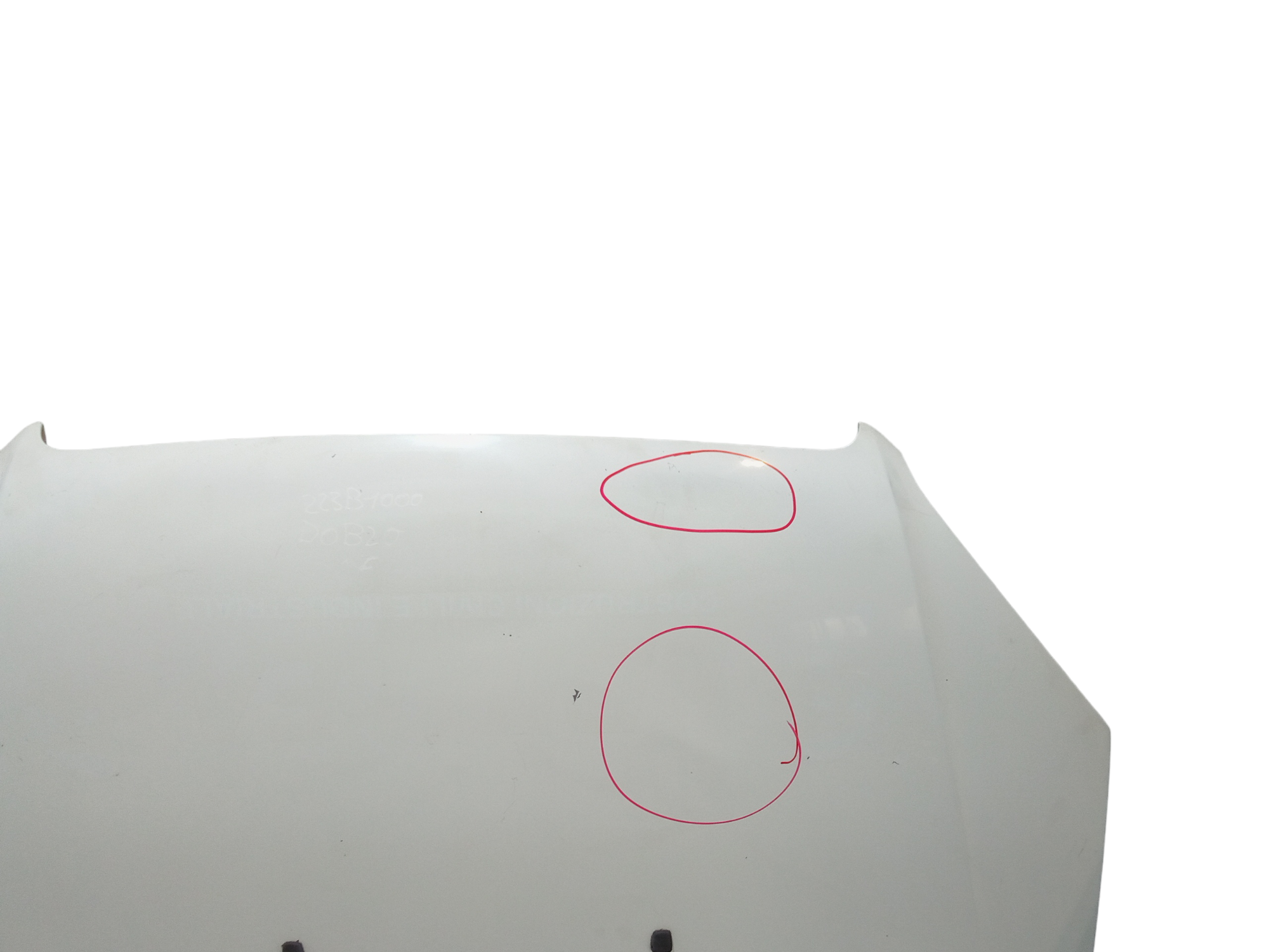 Cofano Anteriore per Fiat Dobl Serie (00>05) (2000 - 2005)