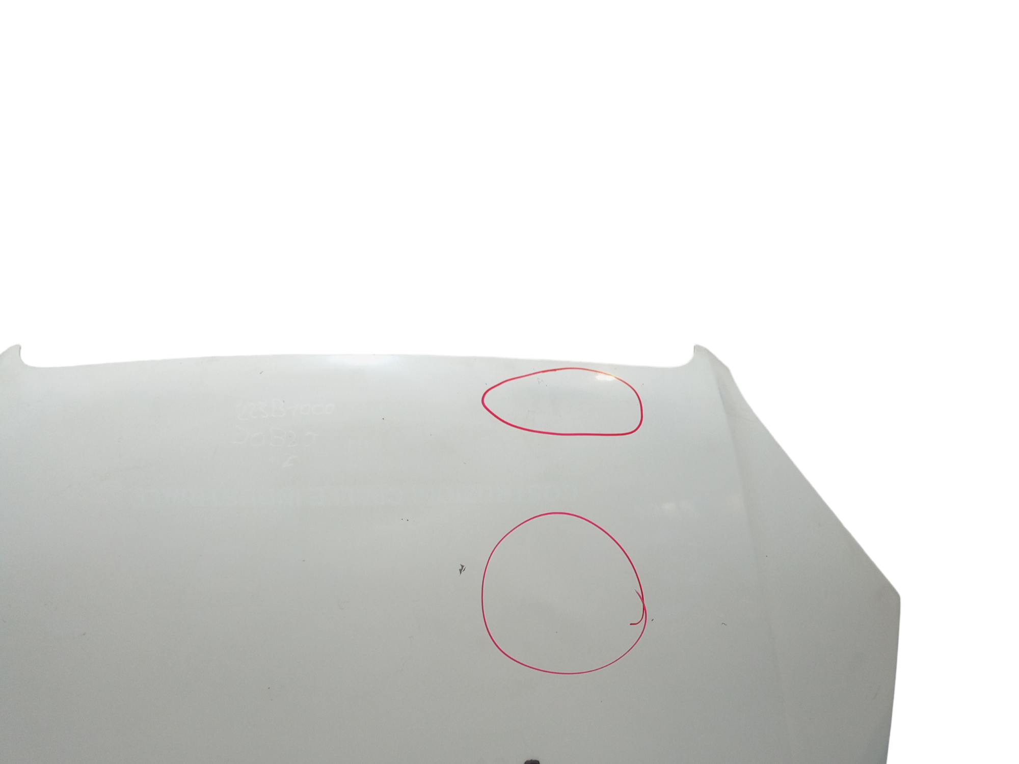 Cofano Anteriore per Fiat Dobl Serie (00>05) (2000 - 2005)