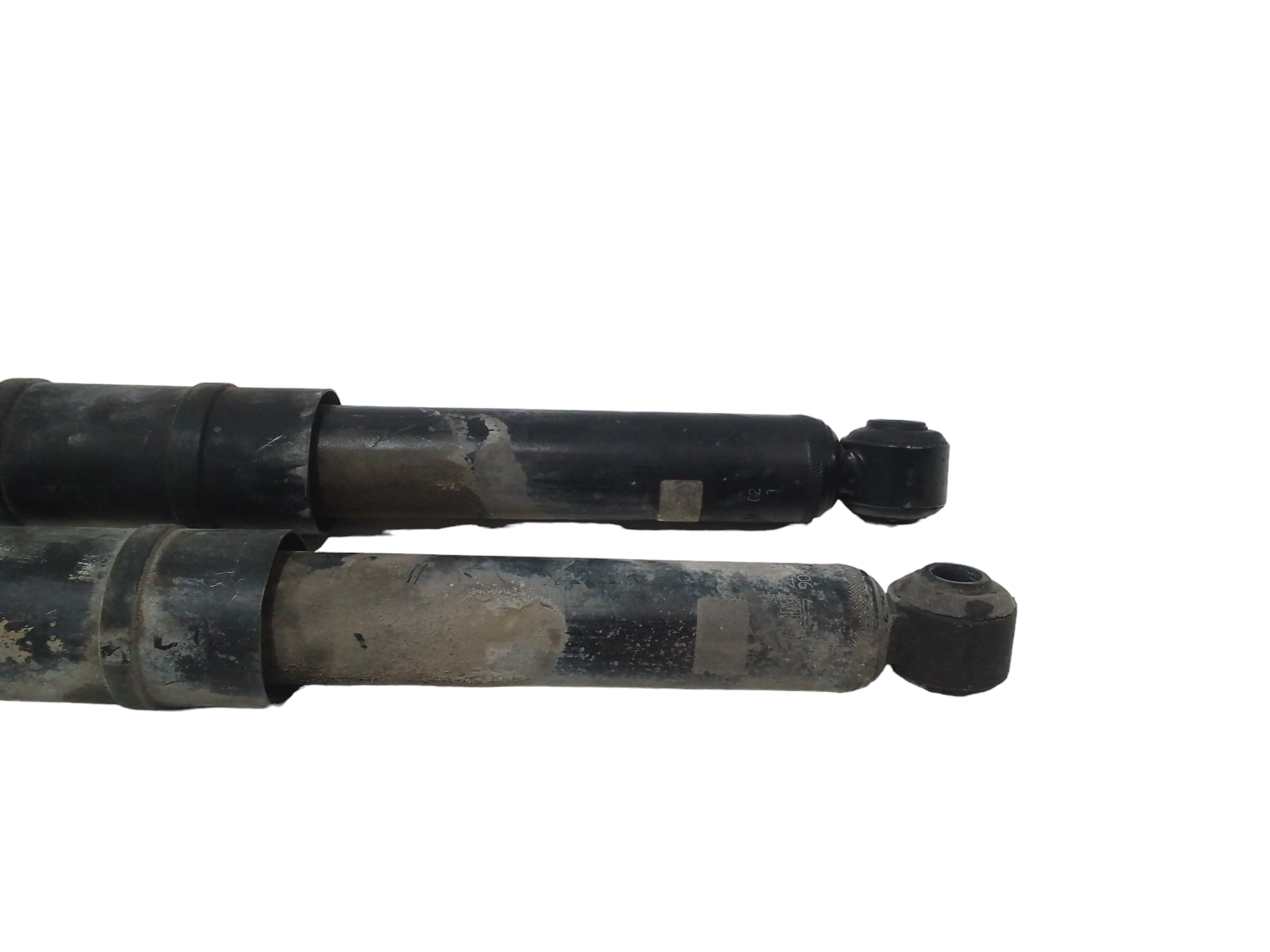 Coppia Ammortizzatori per Opel Zafira A (1999 - 2005)