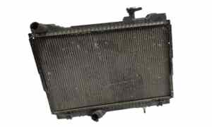 Radiatore acqua per Nissan Cabstar Serie (06>13) (2006 - 2013)