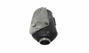 Terminale Scarico per Piaggio Beverly 250cc Tourer (08>11) (2008 - 2011)