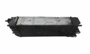 Intercooler per Peugeot 3008 Serie (09>16) (2009 - 2016)