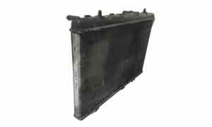 Radiatore acqua per Peugeot 3008 Serie (09>16) (2009 - 2016)