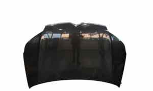 Cofano Anteriore per Citroen C5 Berlina 3 Serie (2008 - In produzione)