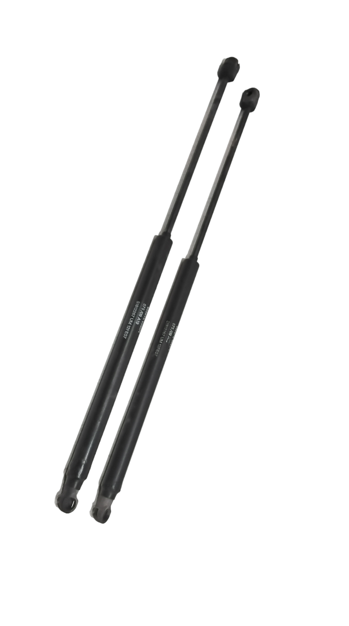 Pistoncini cofano Post. per Fiat Bravo 2 Serie (2007 - 2010)